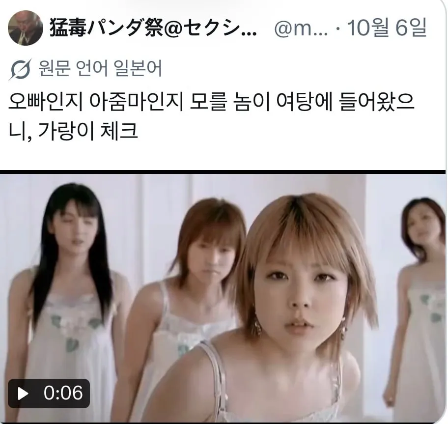 일본에서 드립 하나로 바이럴중인 20년전 아이돌노래