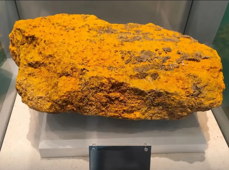 한국인들만 다르게 보인다는 광석.