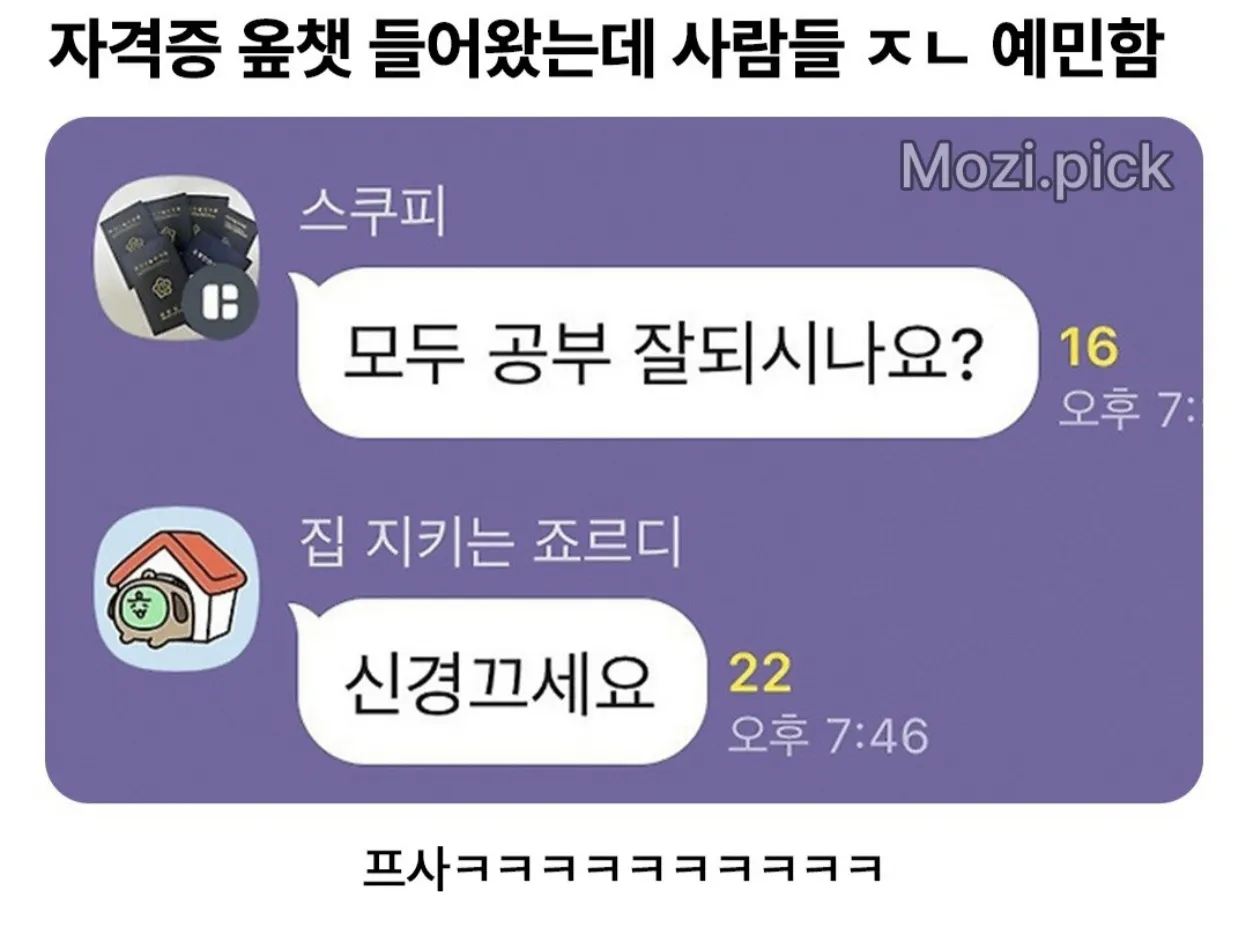 자격증 오픈채팅 들어왔는데 사람들이 예민함.jpg