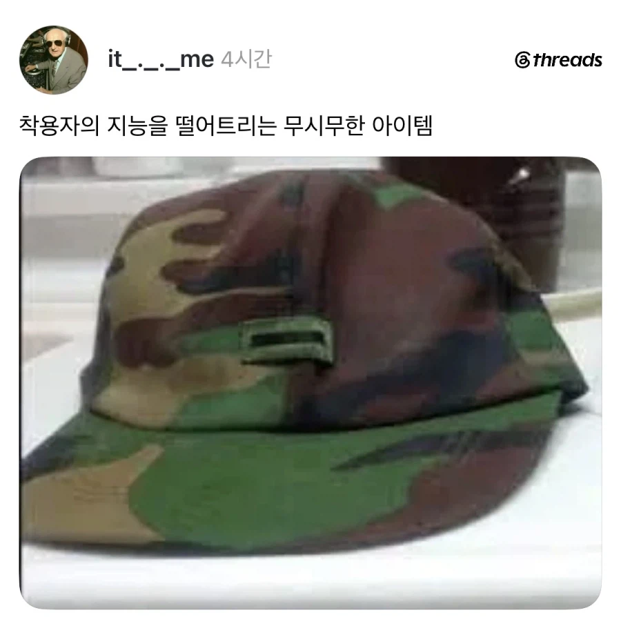 착용자의 지능을 너프시키는 무시무시한 아이템.jpg