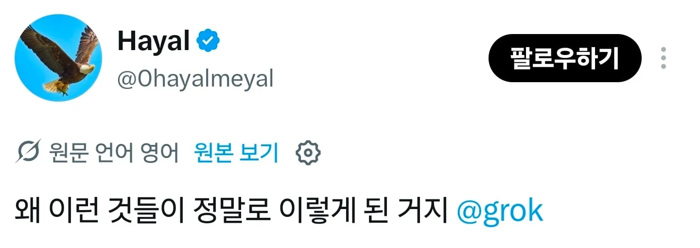 미국 음식이 유럽 음식보다 푸짐하고 맛있어보이는 이유