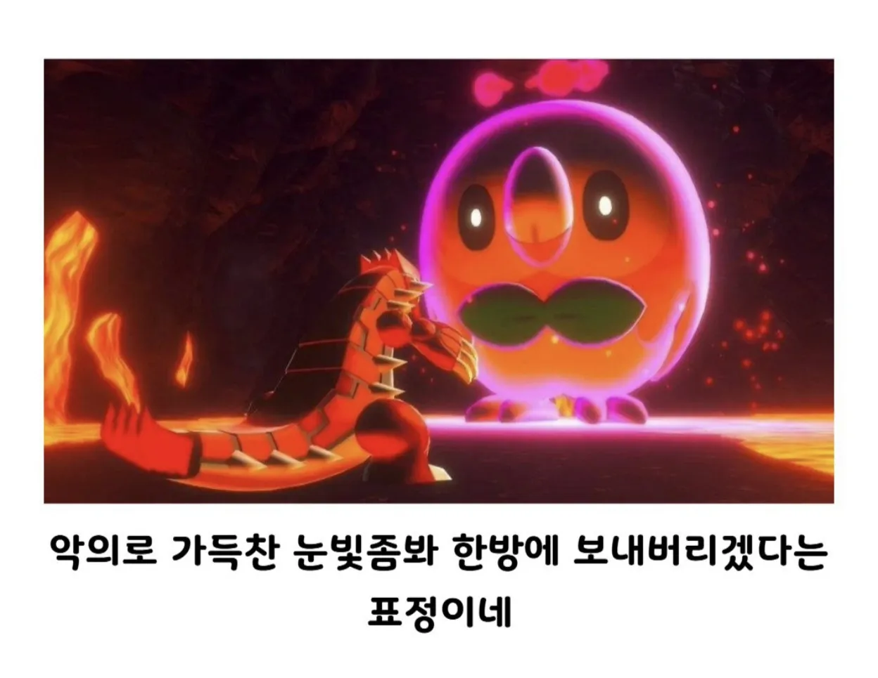 진짜 쟤랑 싸워요? 라고 보던 애 근황.jpg