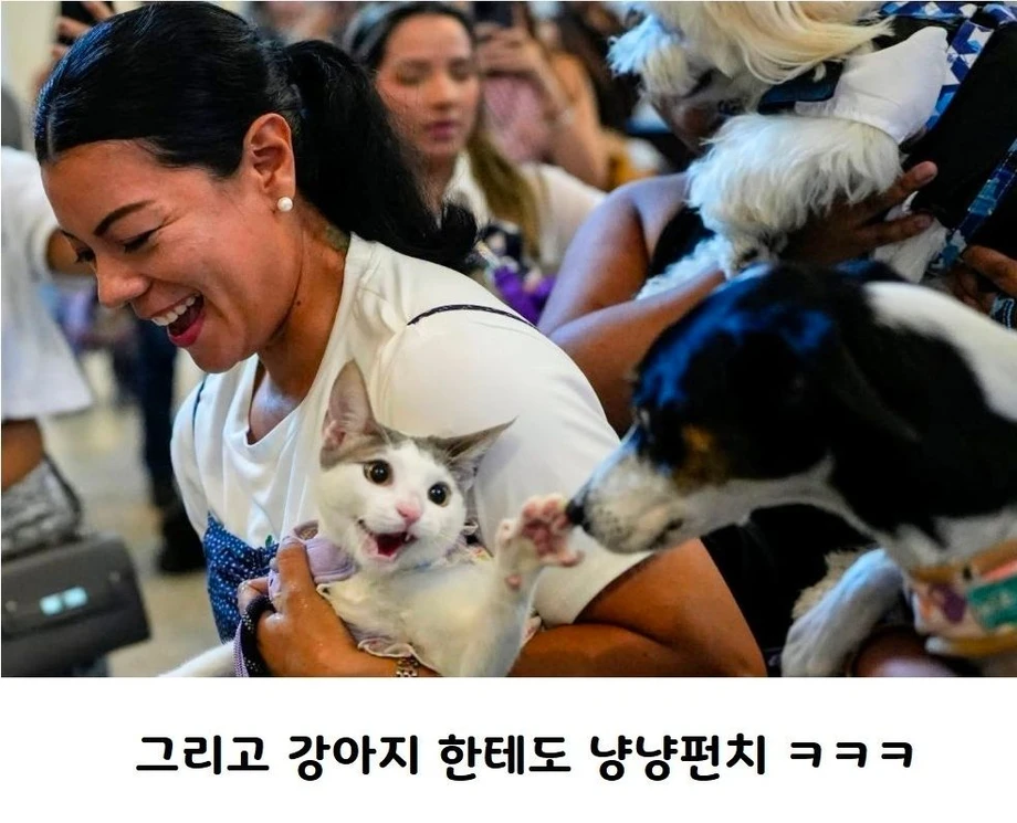 파나마 반려동물 축복식에서 찍힌 장면