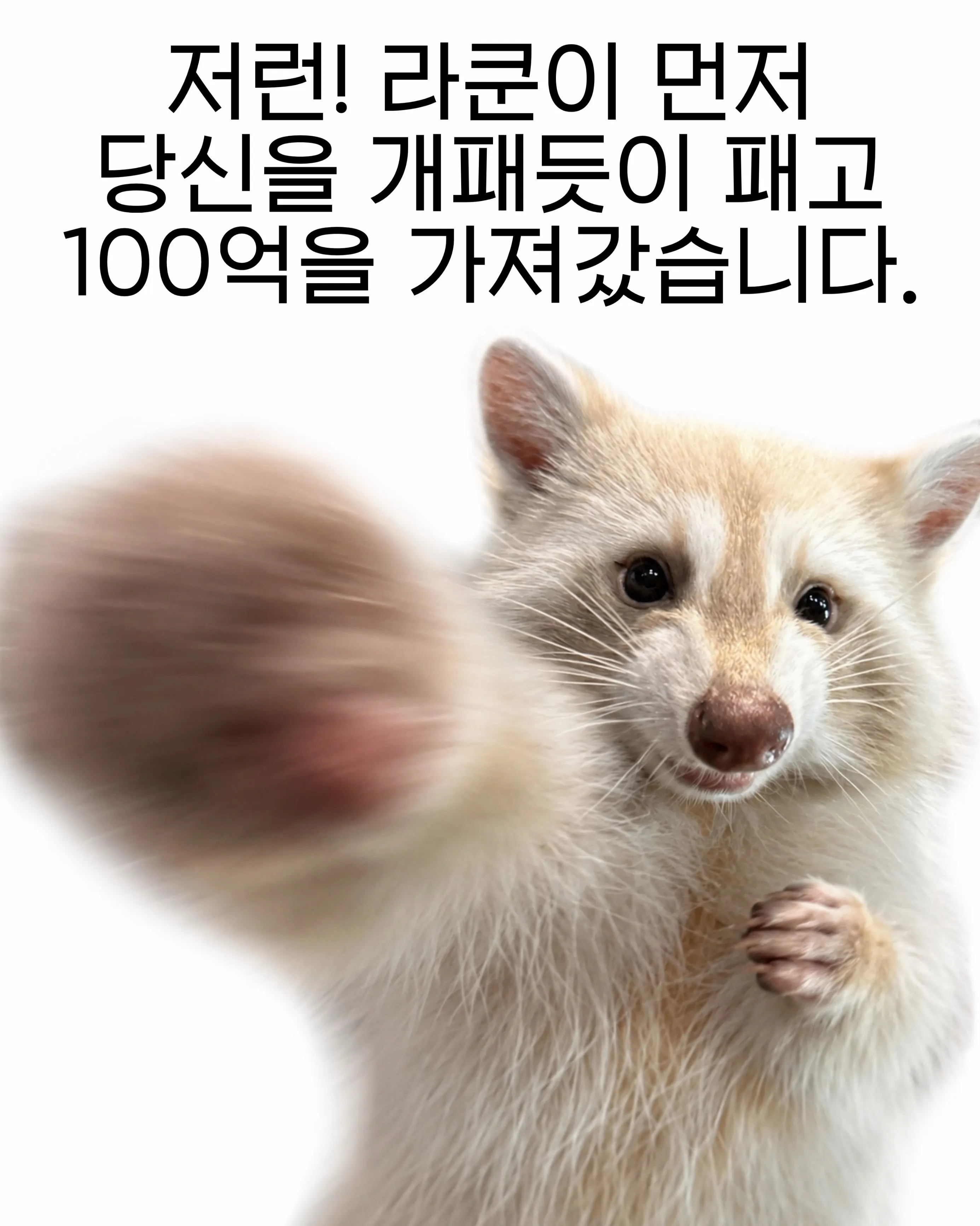 라쿤을 한대 떄릴 때마다 10억
