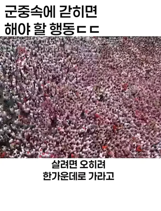 이태원 압사사고 생존자후기