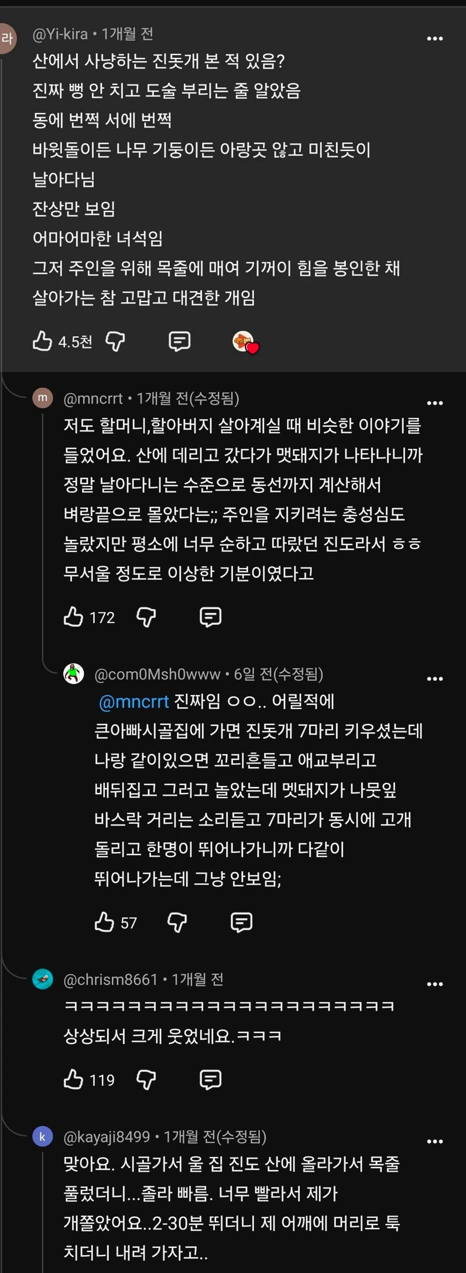 최고속도 60k 진돗개 전력질주 하는 모습
