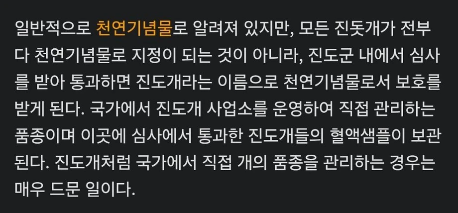 최고속도 60k 진돗개 전력질주 하는 모습