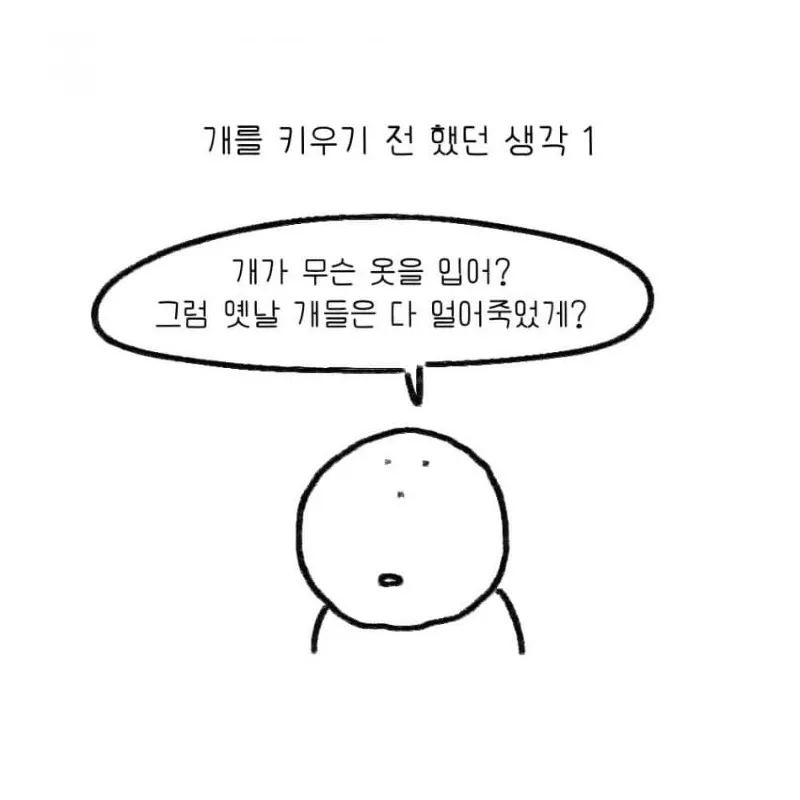 강아지를 키우기 전 했던 생각.toon