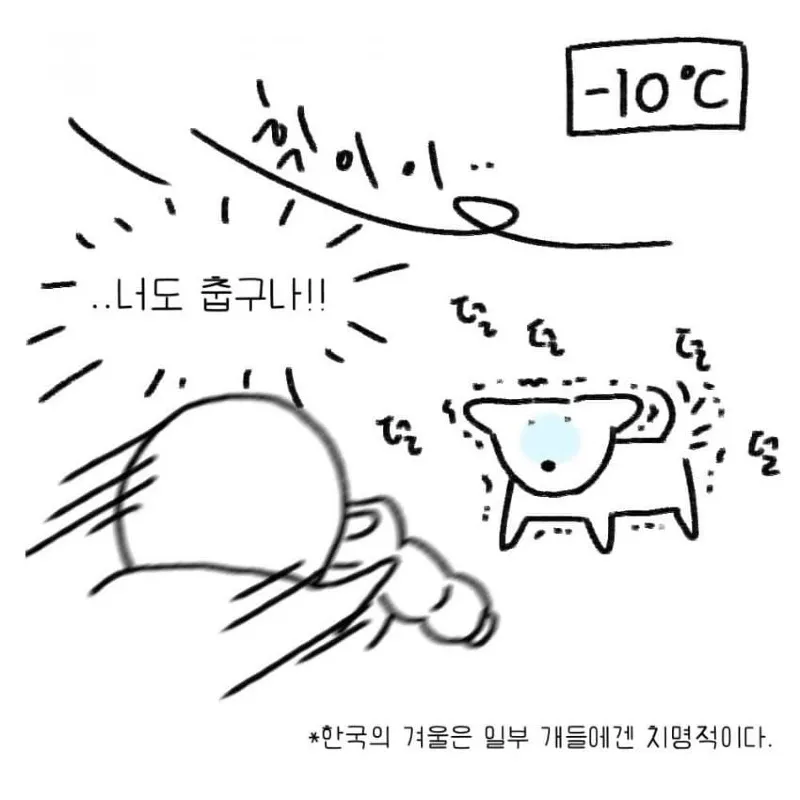 강아지를 키우기 전 했던 생각.toon