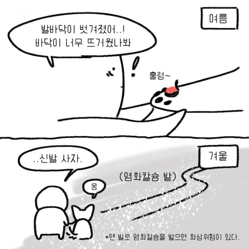 강아지를 키우기 전 했던 생각.toon