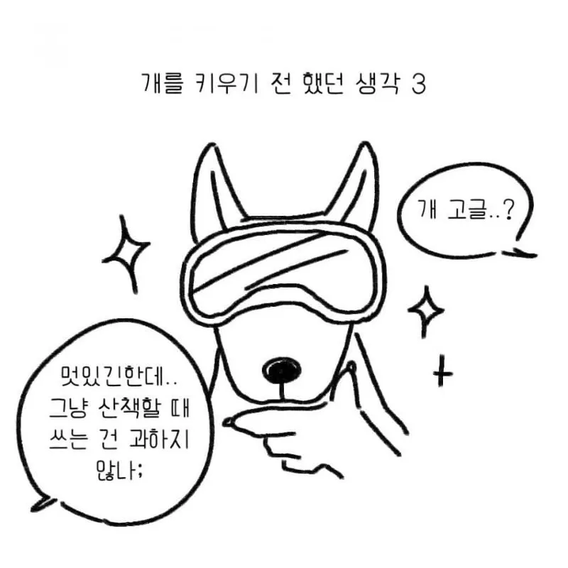 강아지를 키우기 전 했던 생각.toon