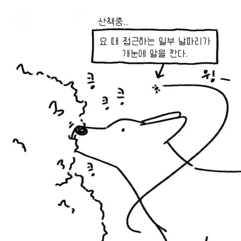 강아지를 키우기 전 했던 생각.toon