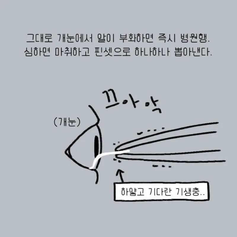 강아지를 키우기 전 했던 생각.toon