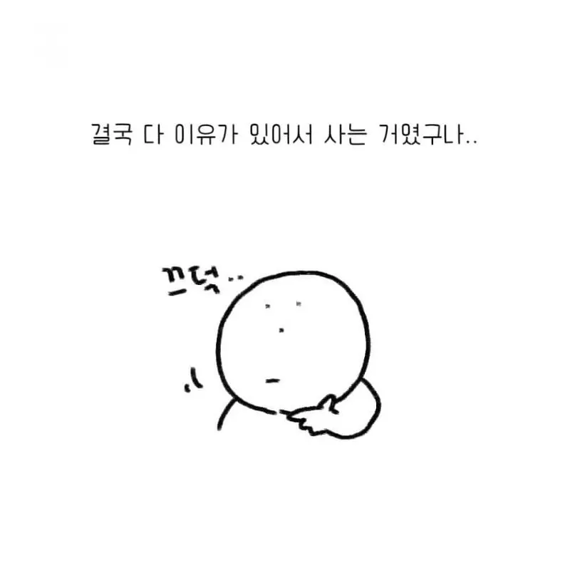 강아지를 키우기 전 했던 생각.toon