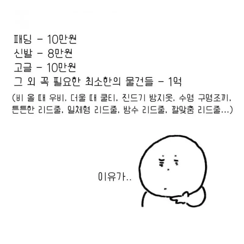 강아지를 키우기 전 했던 생각.toon