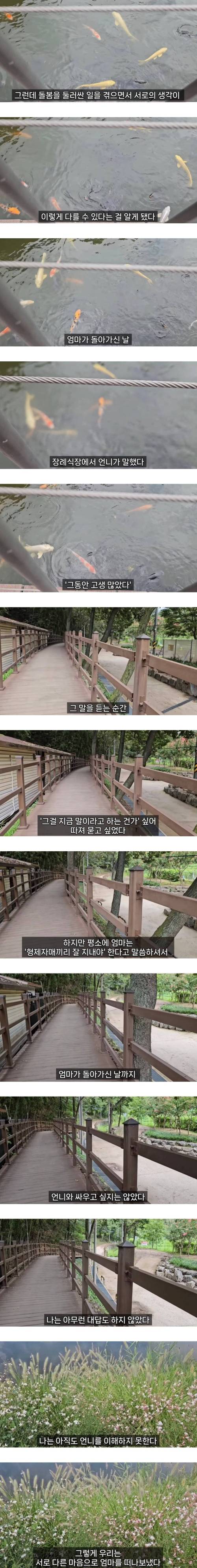 [스압] 