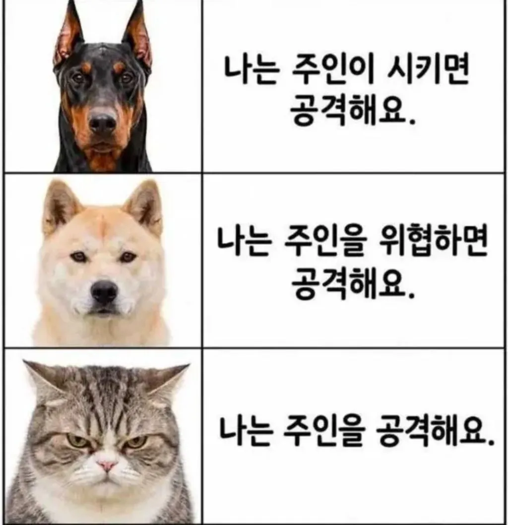 개와 고양이의 전산 시스템 ㄷㄷ