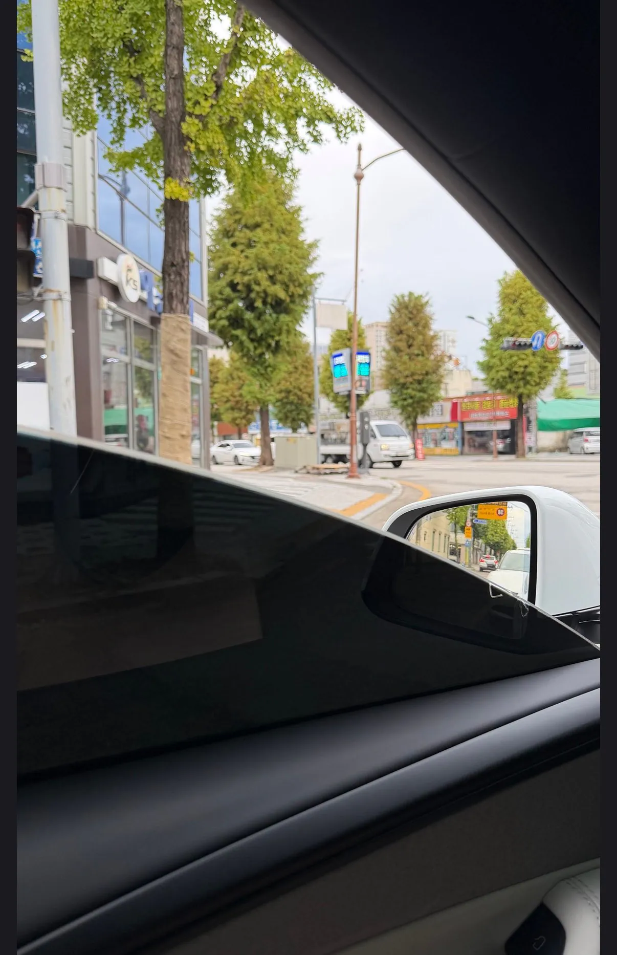 틴팅이 너무 어둡다는 테슬라 카페 회원…JPG