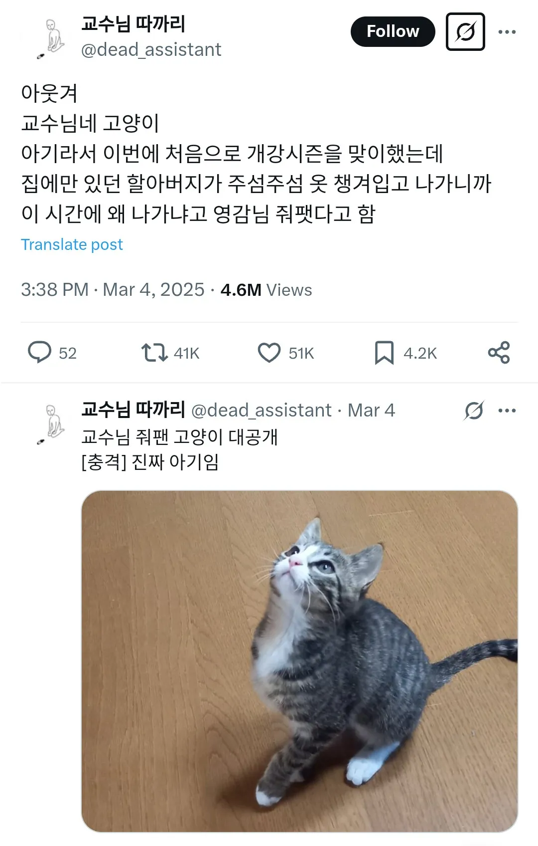 레벨존 인기 게시물 - 교수님네 고양이 아기라서 이번에 처음으로 개강시즌을 맞이했는데
