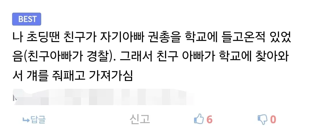 경찰이 초등학교에 들어와 애를 줘 팬 이유.jpg