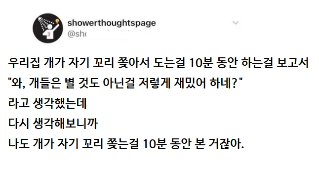 개들은 별 것도 아닌걸 저렇게 재밌어 하네?.jpg