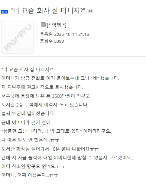 너 요즘 회사 잘 다니지?