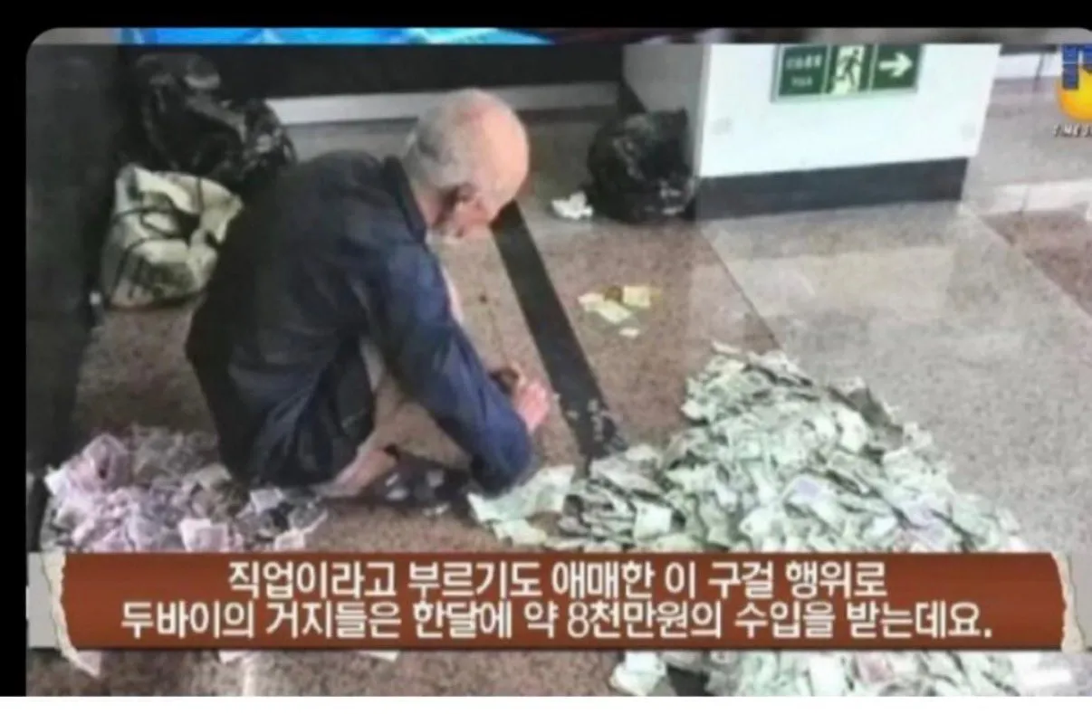 거지들이 구역에 예민한 이유