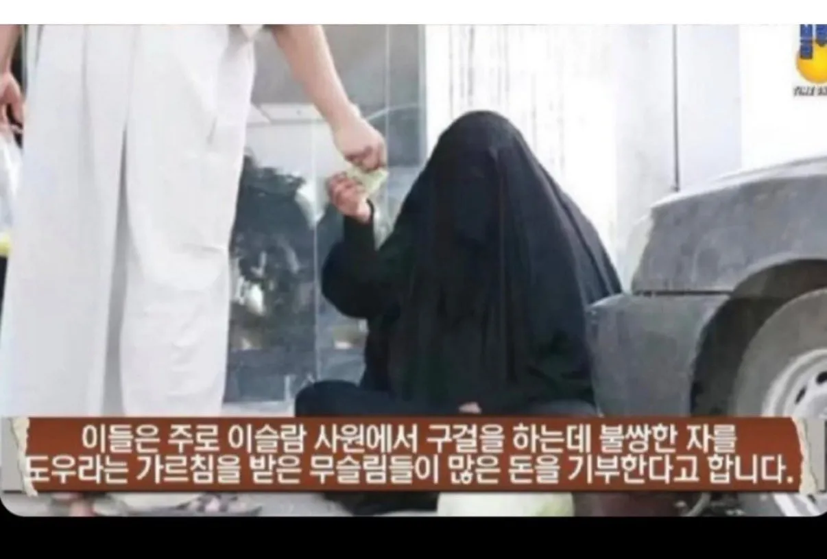 거지들이 구역에 예민한 이유