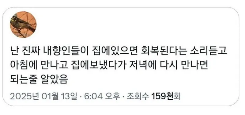 고전_X] 난 진짜 내향인들이 집에 있으면 회복된단 소리듣고.twt