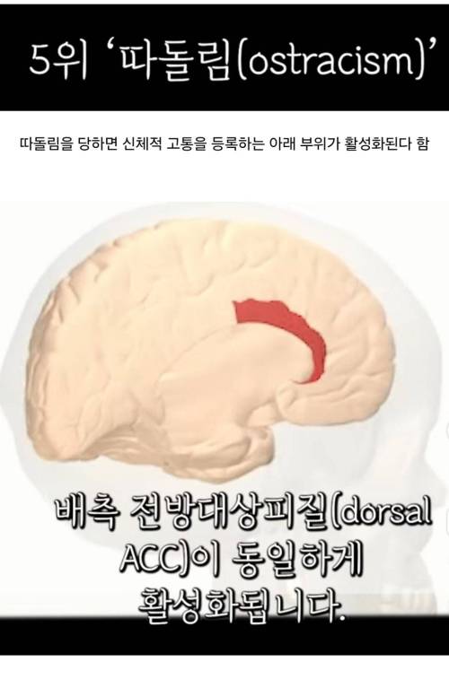 인간이 느낄 수 있는 가장 강한 정신적 고통 Top 5