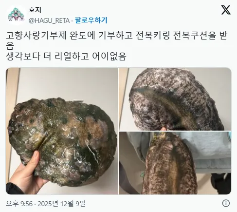 완도에 기부하면 주는 전복쿠션.jpg