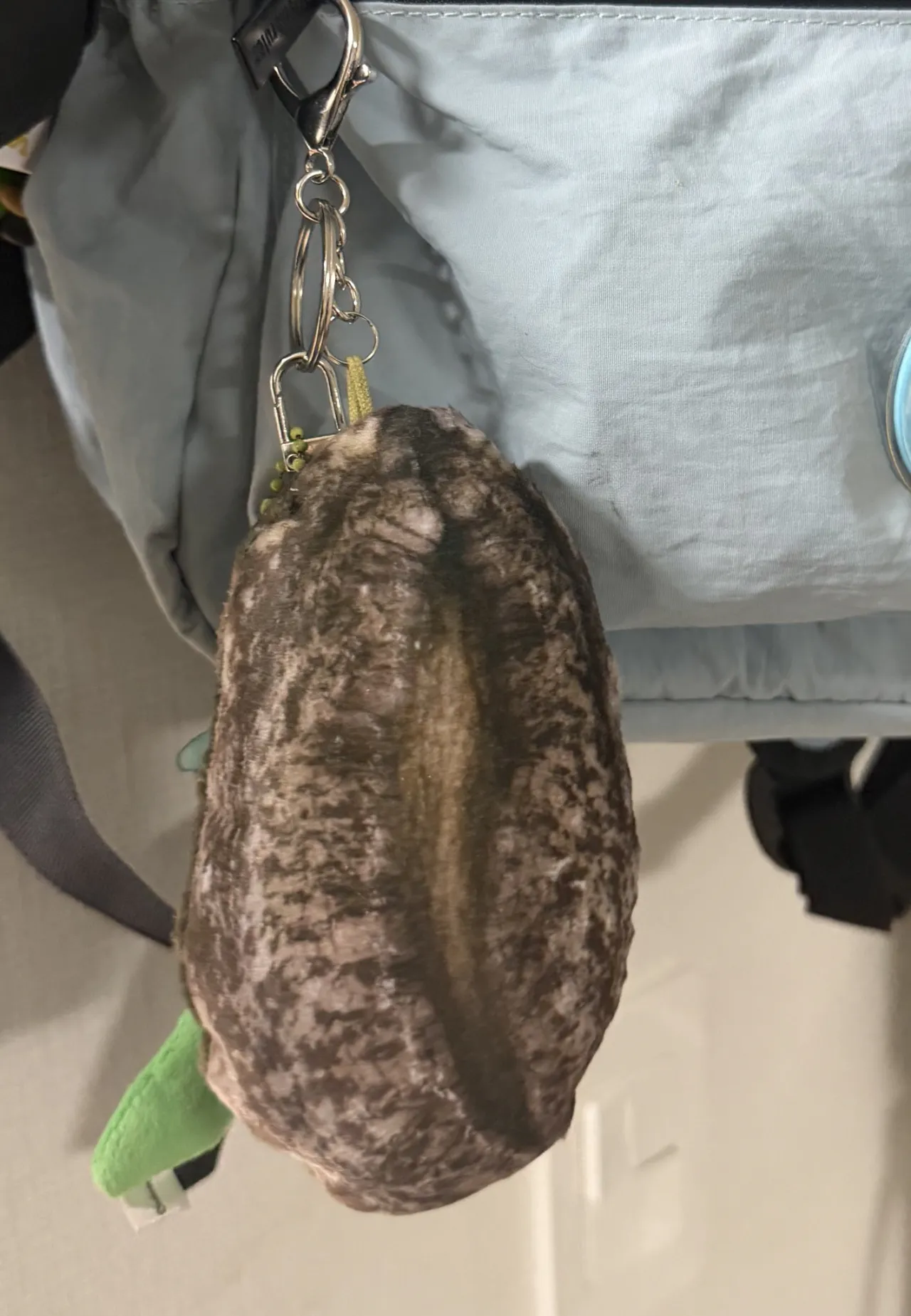 완도에 기부하면 주는 전복쿠션.jpg