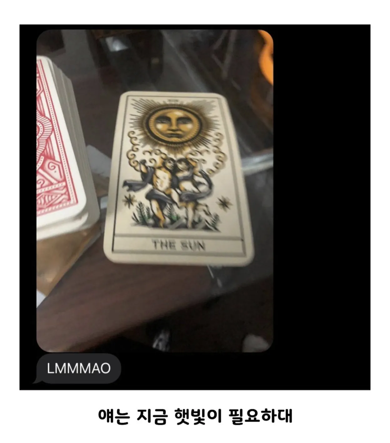 친오빠가 병들어가는 식물한테 타로했음.jpg