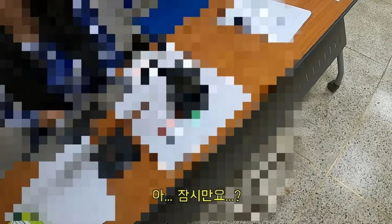 다리를 절단했는데 민방위 통지서가 날아왔다