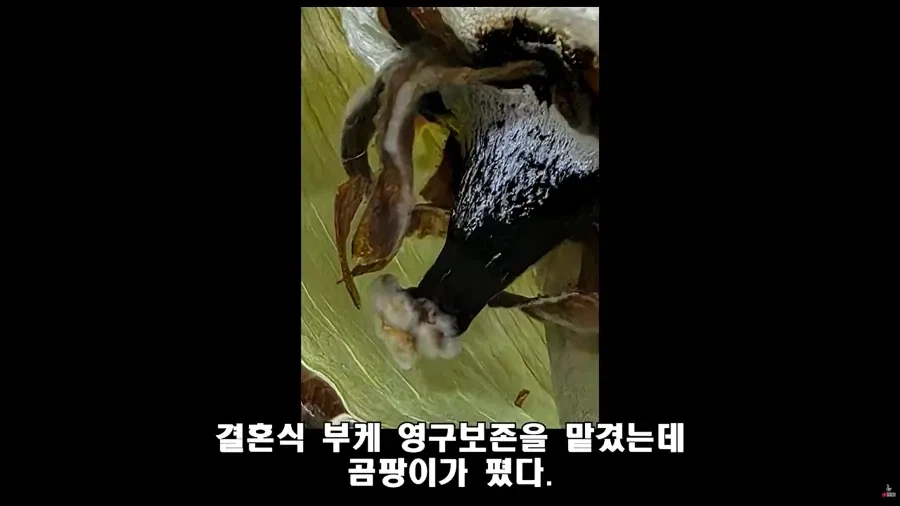 법대로 하시던가의 결말