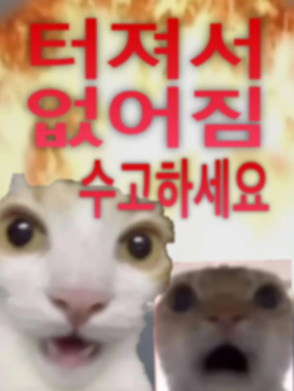 규모 20.0 지진이 일어나면 생기는 일.jpg