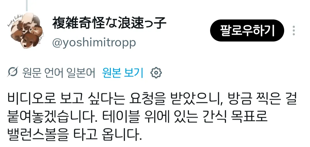 X에서 좋아요 7만개 받은 강아지 ㅋㅋ