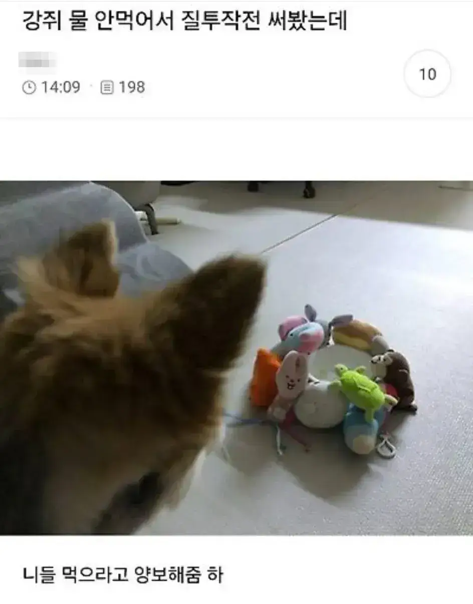 강쥐 물 안먹어서 질투작전 써봤는데.jpg