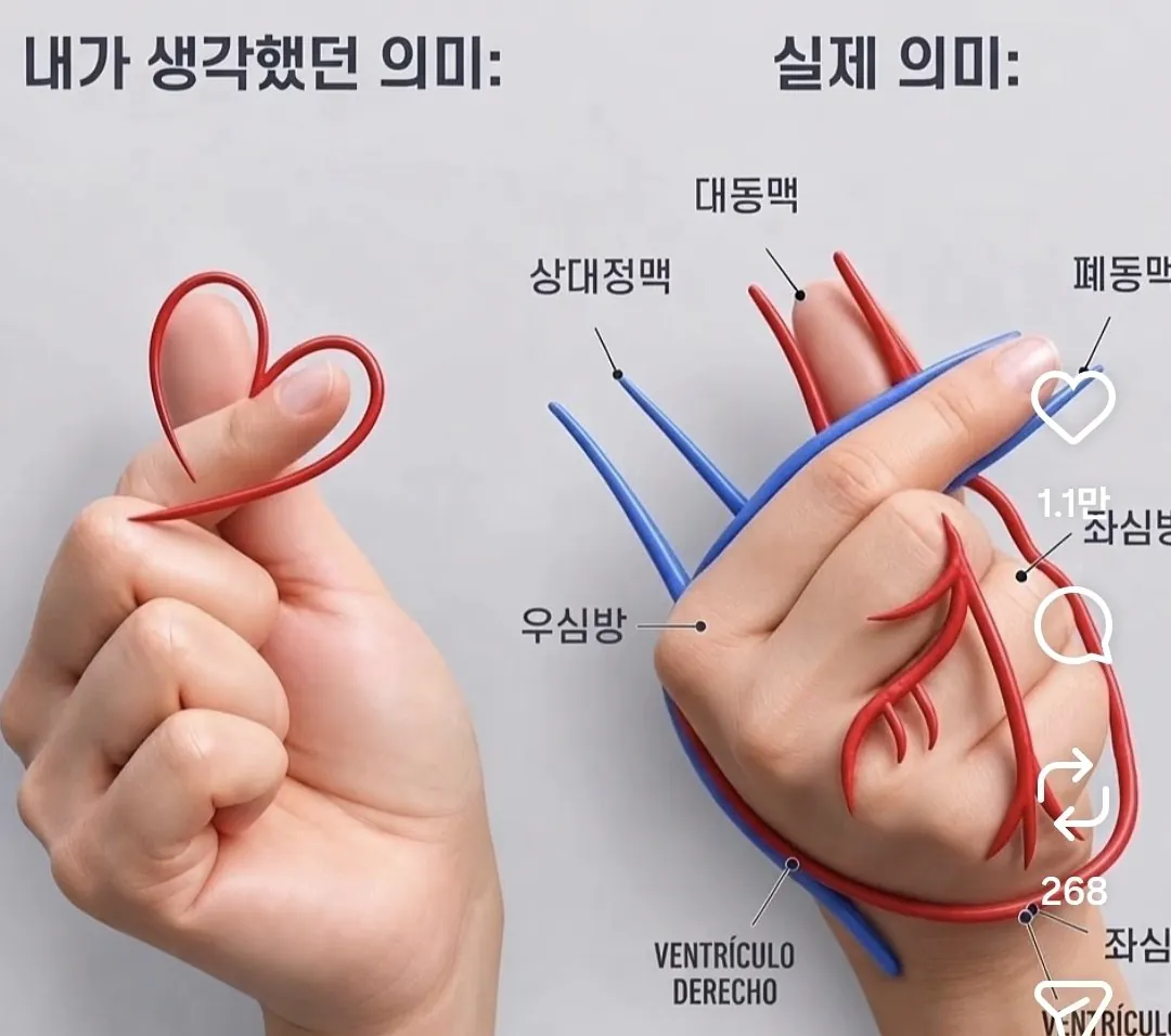 손가락 하트의 진짜 의미.jpg