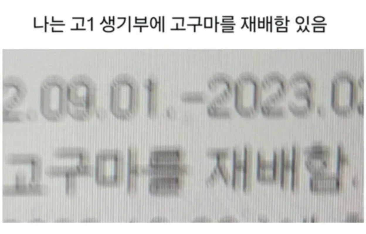 당황스러운 생기부 모음.jpg