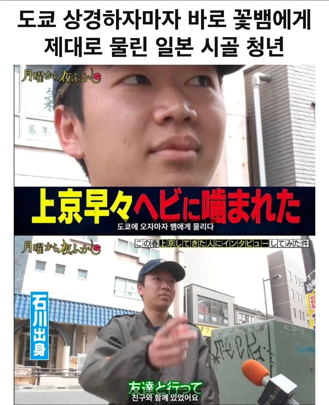 도쿄에 오자마자 꽃뱀에게 물린 시골 청년.jpg