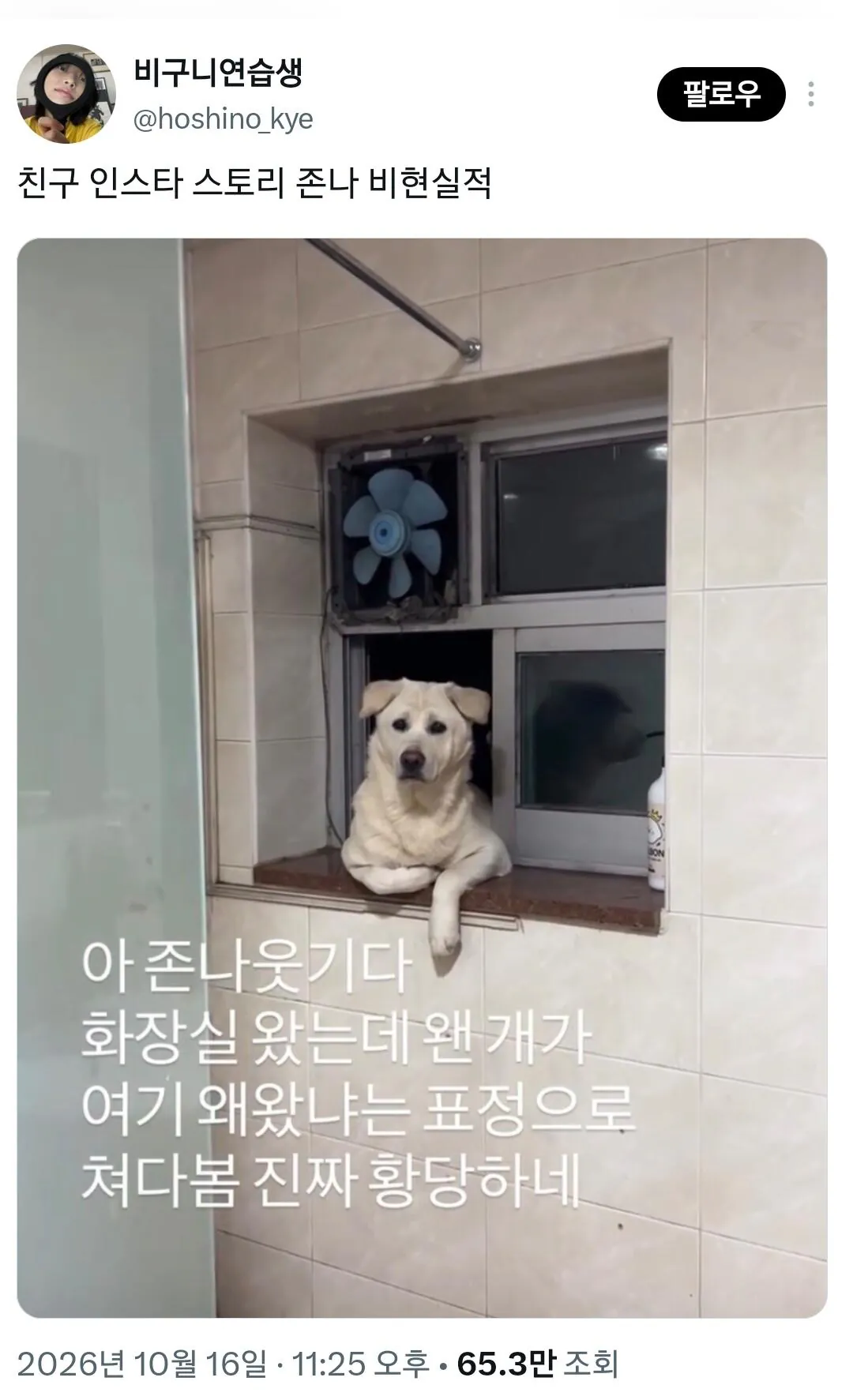 친구 인스타 스토리 존나 비현실적 ㅋㅋ