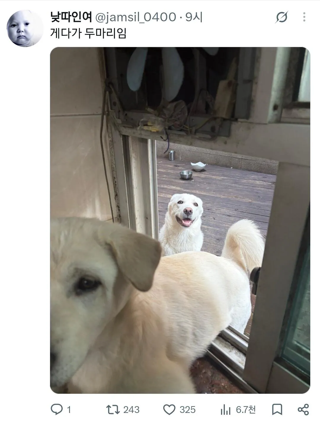 친구 인스타 스토리 존나 비현실적 ㅋㅋ
