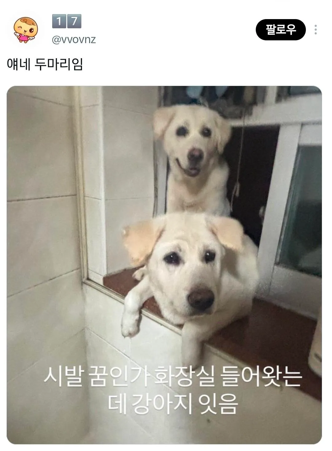 친구 인스타 스토리 존나 비현실적 ㅋㅋ