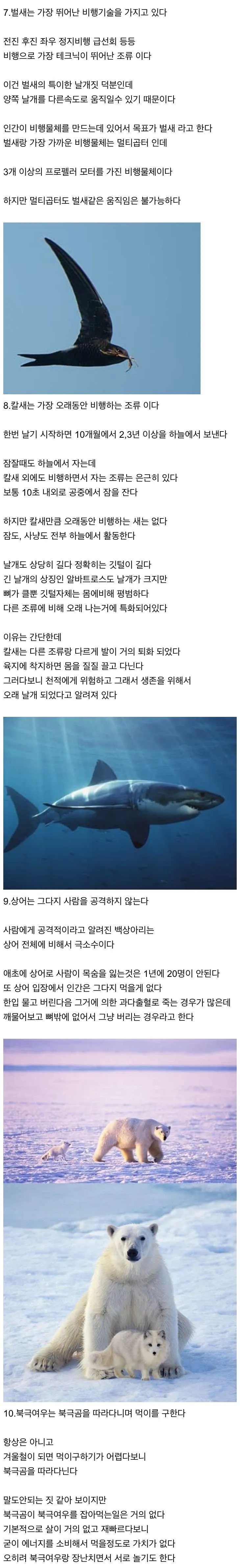 신기한 동물 지식 10가지