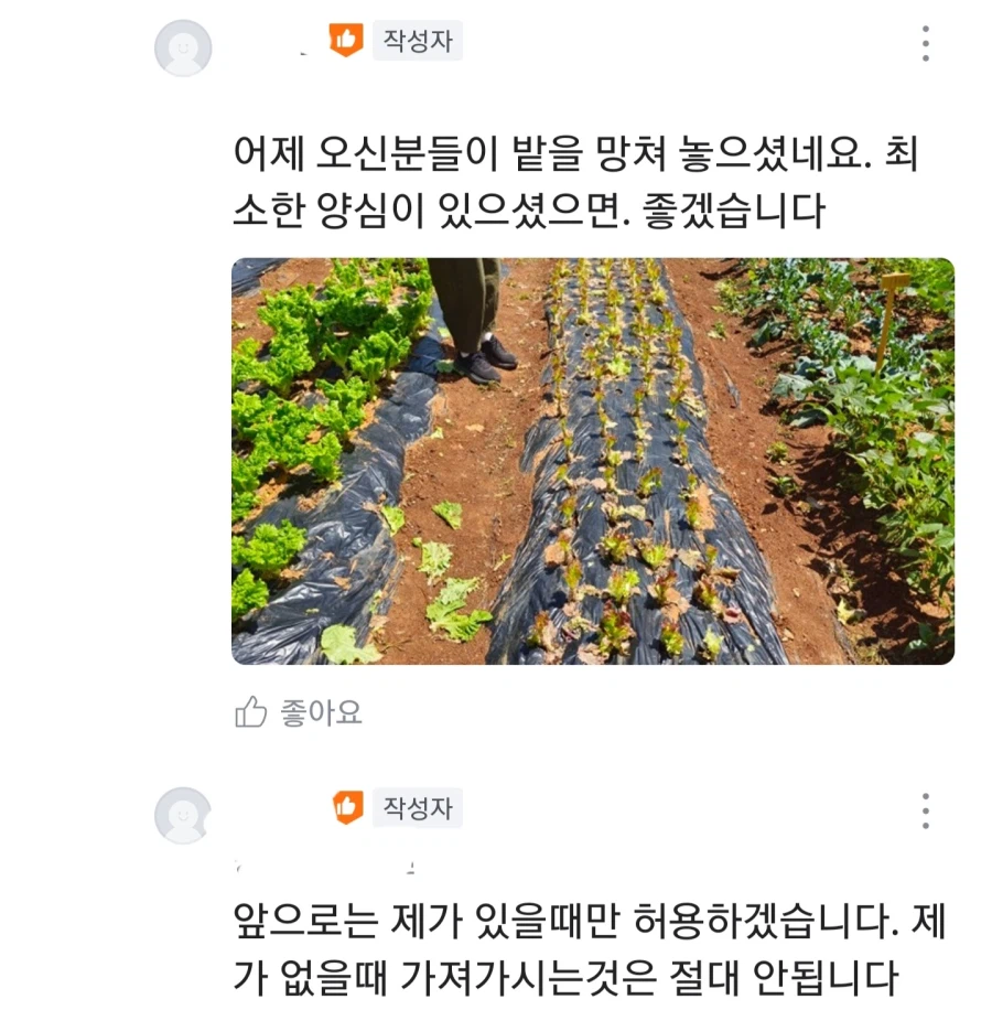 펌) 울동네 무료나눔 수준
