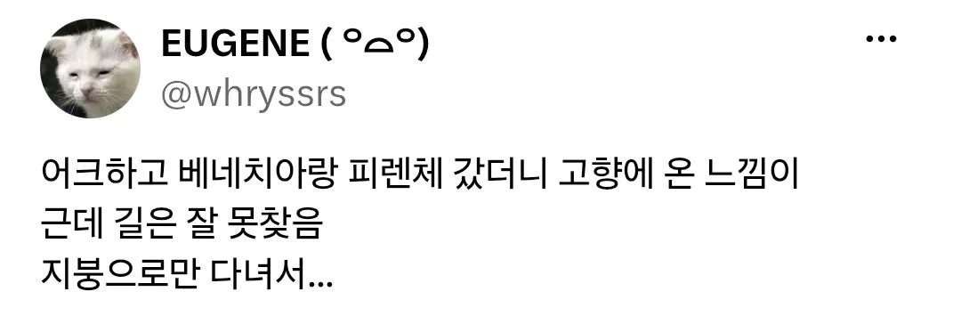 분명 오사카에 처음 왔는데 지리를 잘 아는 남편.jpg