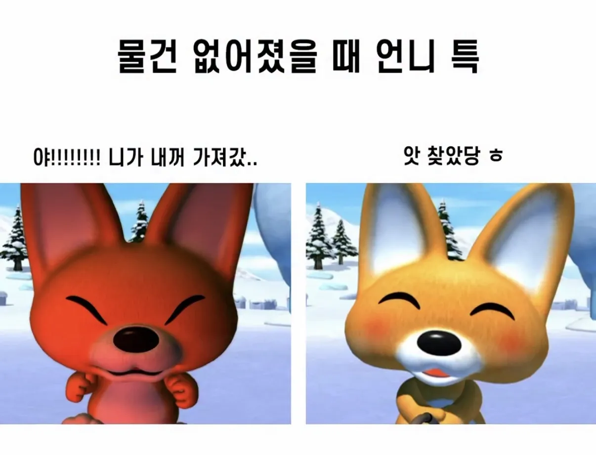 물건 없어졌을때 언니 특.jpg