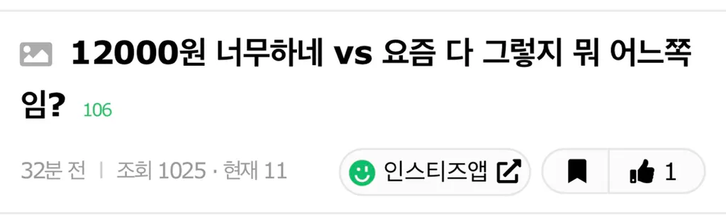12000원 너무하네 vs 요즘 다 그렇지 뭐 어느쪽임?