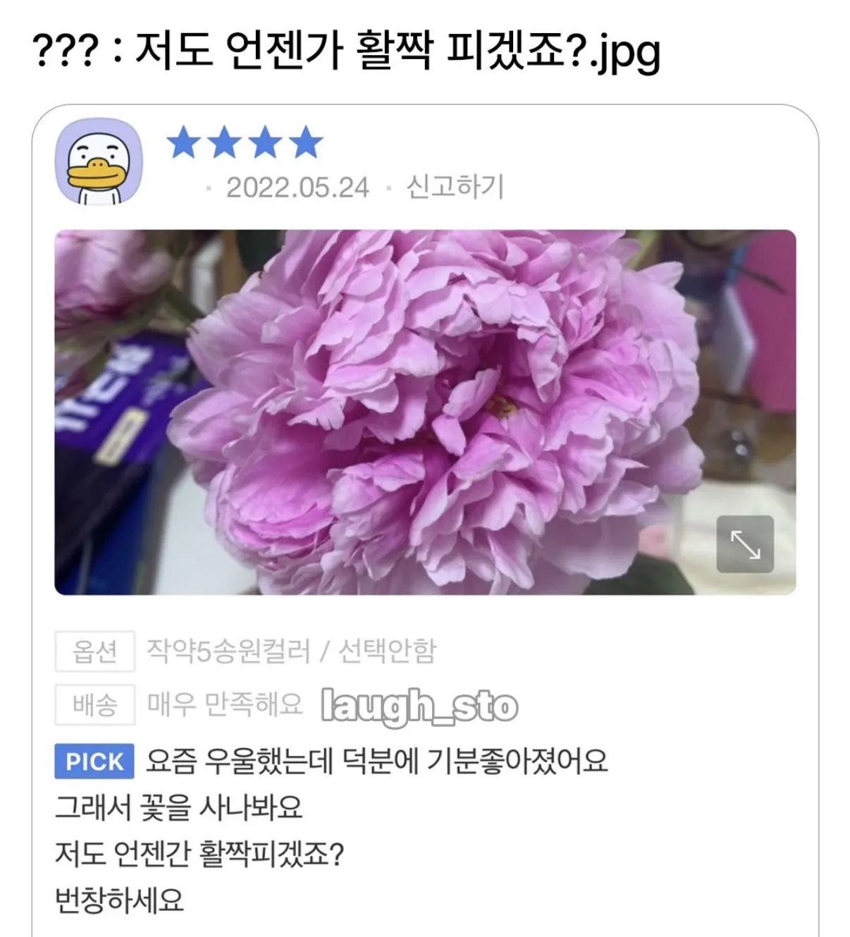 프리서버 커뮤니티 인기 게시물 - 저도 언젠가 활짝 피겠죠?.jpg